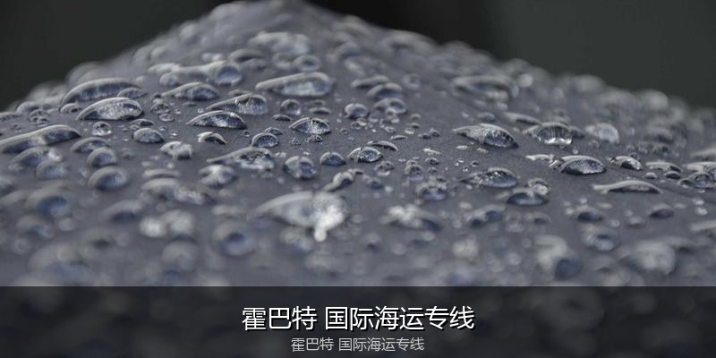 2024年中国到澳大利亚海运价格走势分析