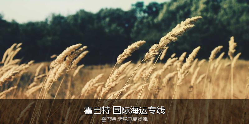 澳大利亚主要港口海运服务对比